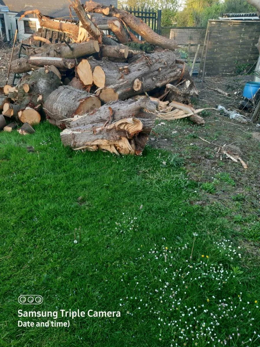 Cypress fire wood