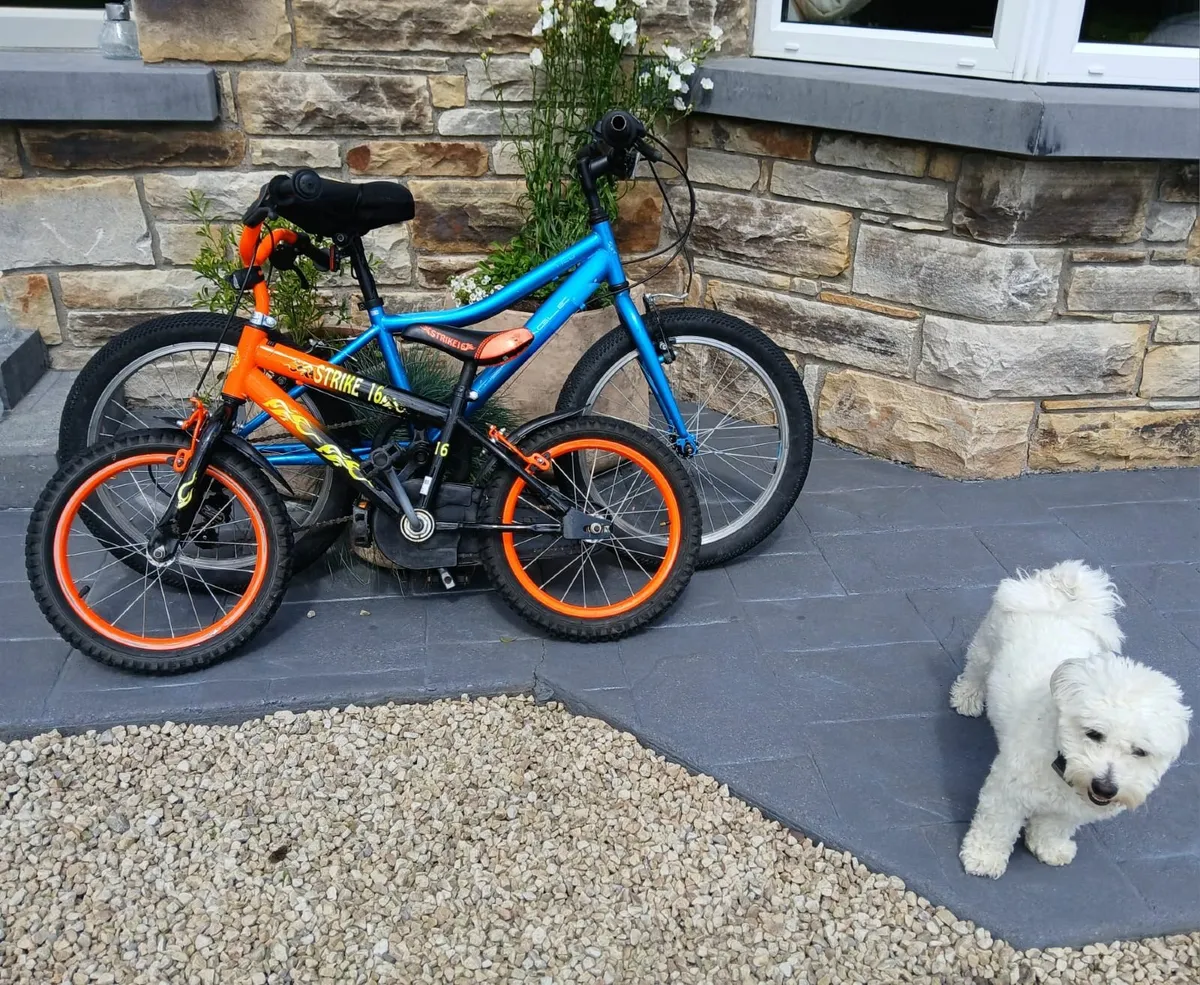 2 Bikes for sale - Image 1