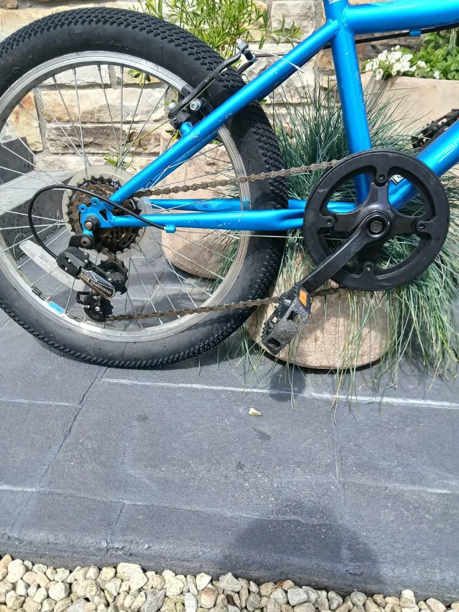 2 Bikes for sale - Image 2