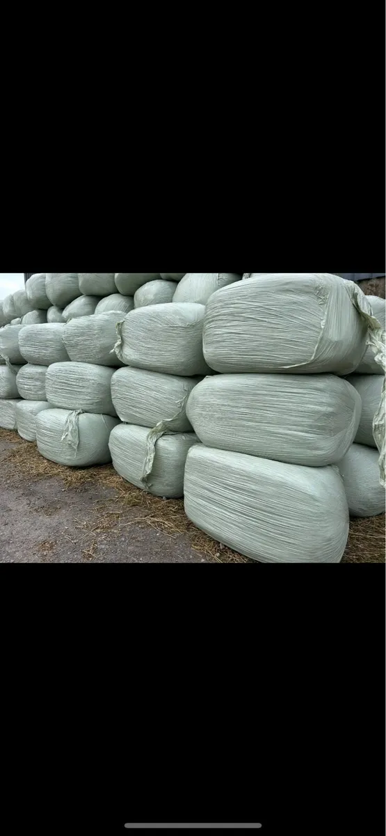 Small haylage bales