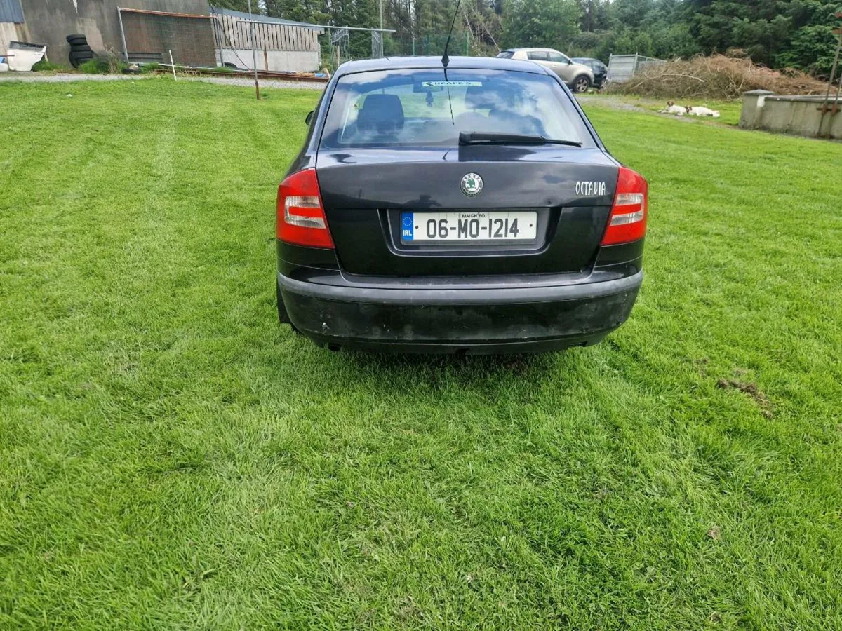 Skoda Octavia - Image 2