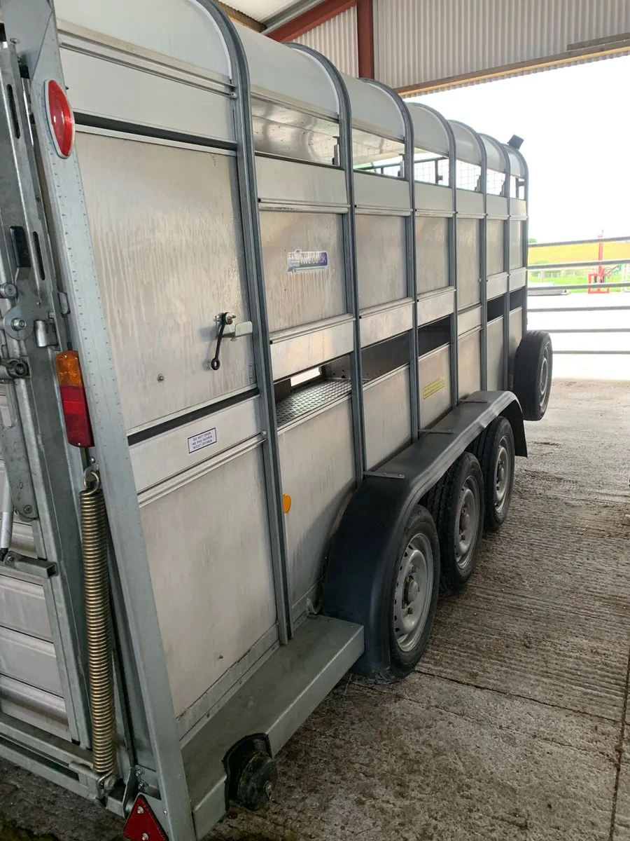 Cattle / sheep trailer - Image 1
