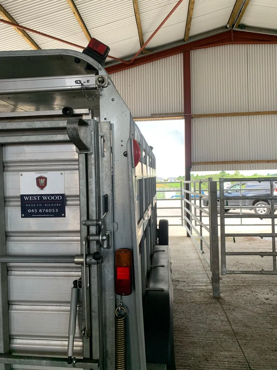 Cattle / sheep trailer - Image 2