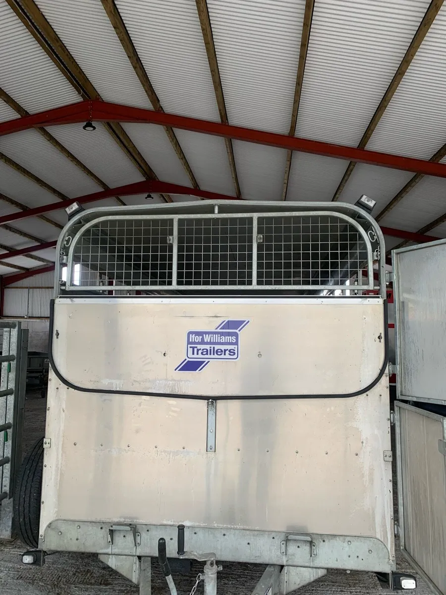Cattle / sheep trailer - Image 3
