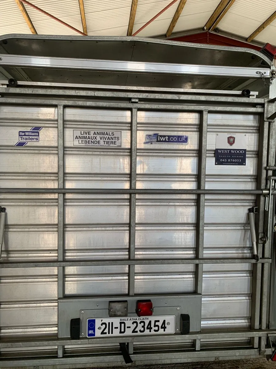 Cattle / sheep trailer - Image 4
