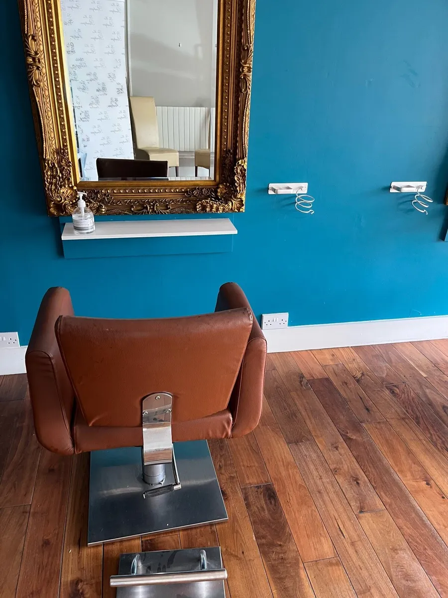 Hair Salon Hairs & Basins - Image 3