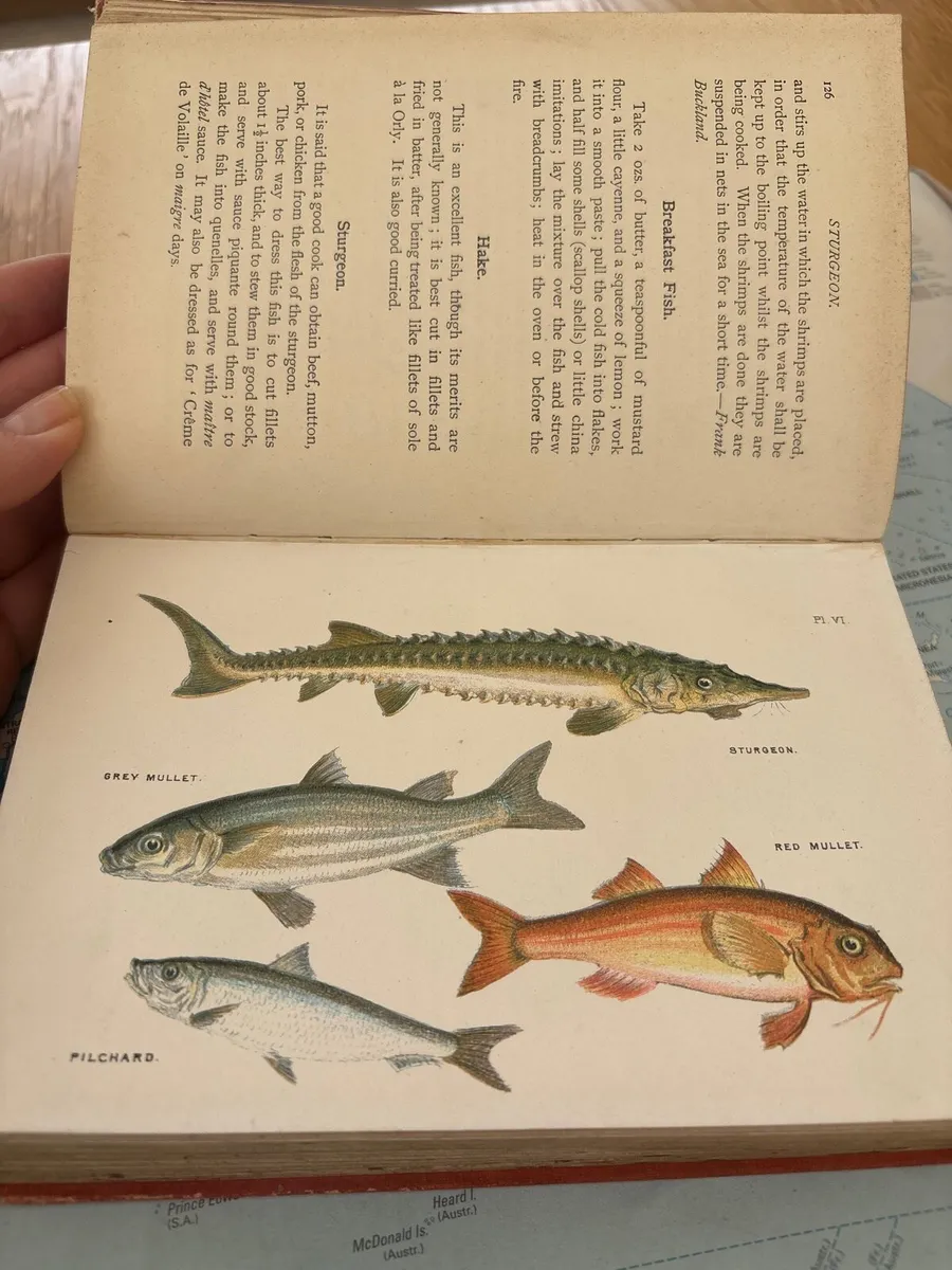 Book - Image 3