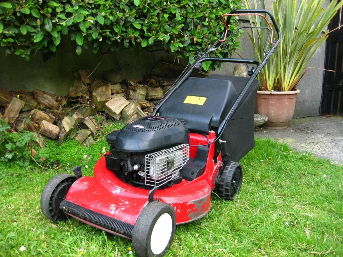 Sandri Garden Briggs&Stratton Petrol Mower - Italy - Image 4