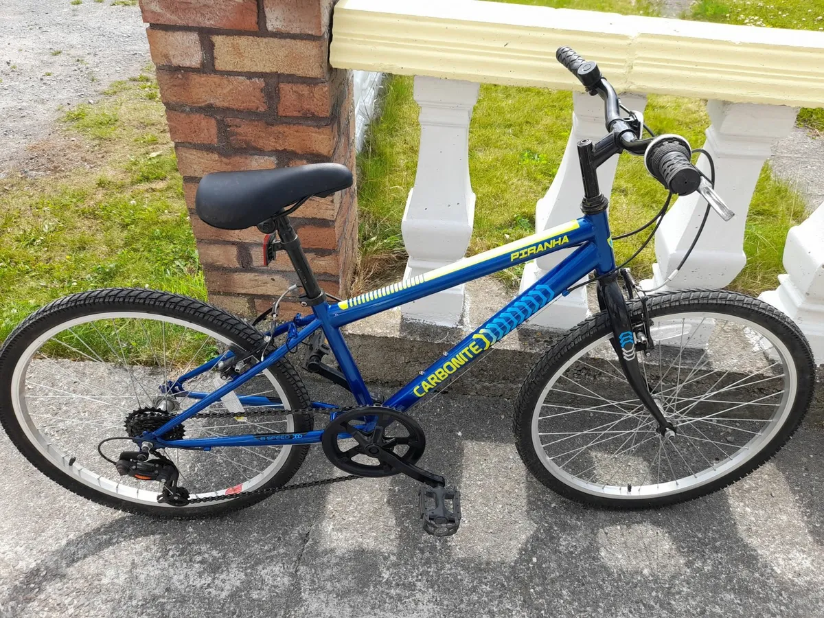 Bicycle - Image 1