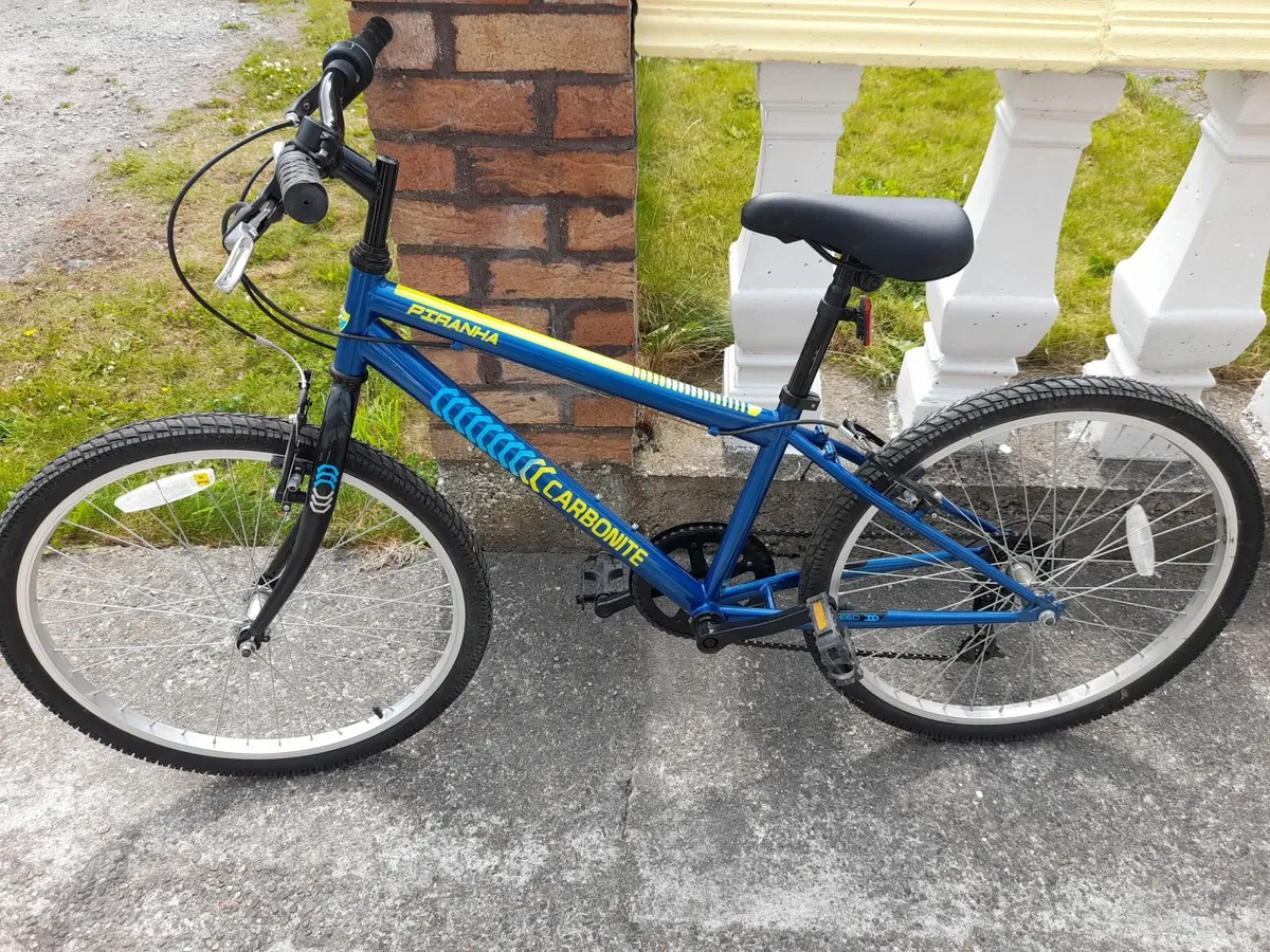 Bicycle - Image 2