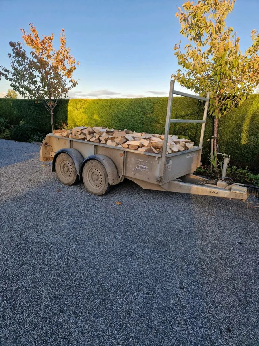 Seasoned ash firewood - Image 1