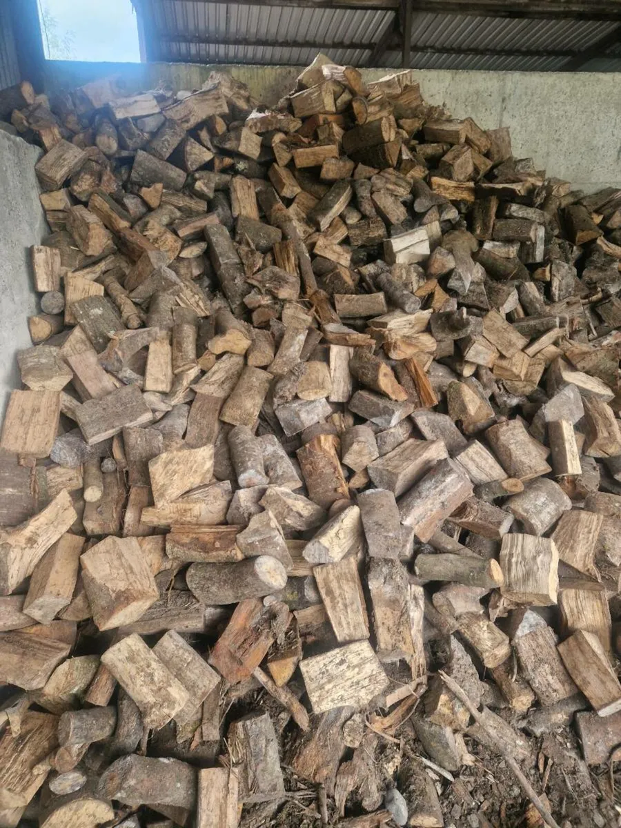 Seasoned ash firewood - Image 3