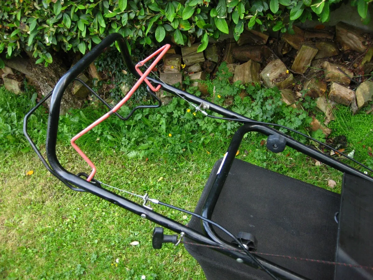Sandri Garden Briggs&Stratton Petrol Mower - Italy - Image 3