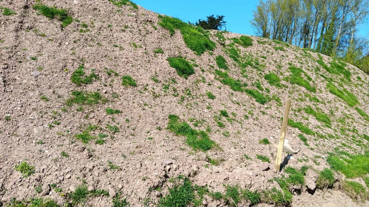Top soil and sub soil - Image 3