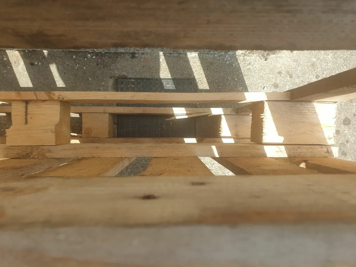 Wooden Pallet Free to Collect - Image 2