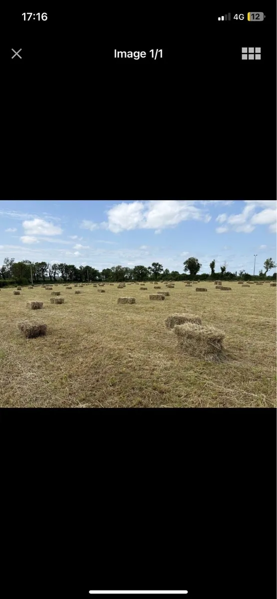 Square bales hay