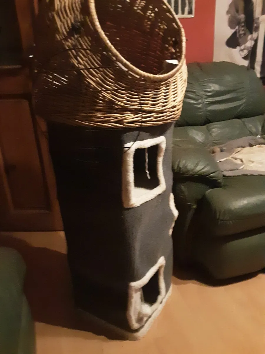 Pet bed
