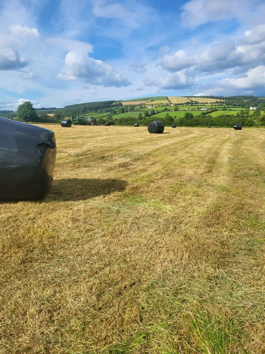 Silage bales - Image 1