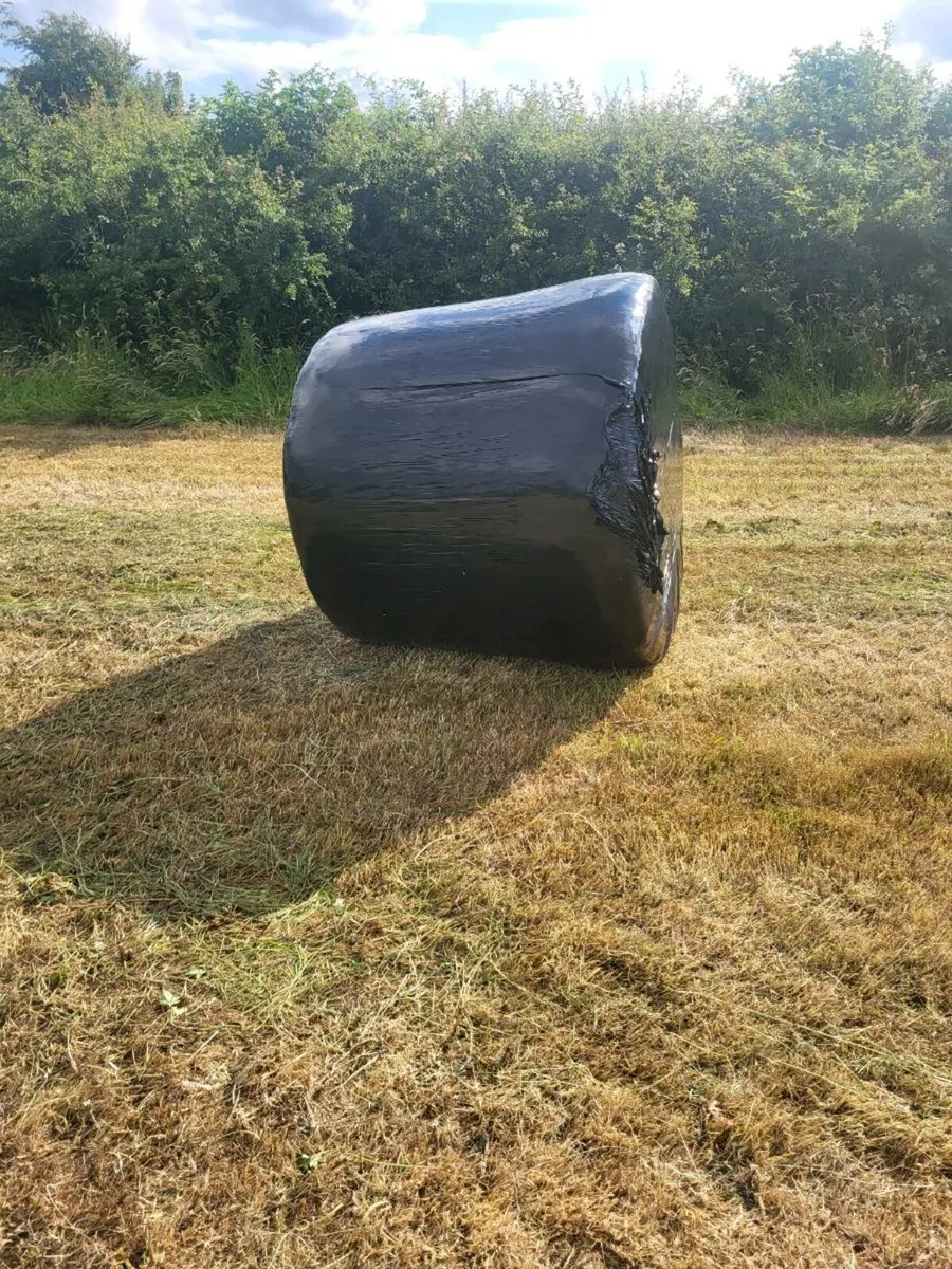 Silage bales - Image 4