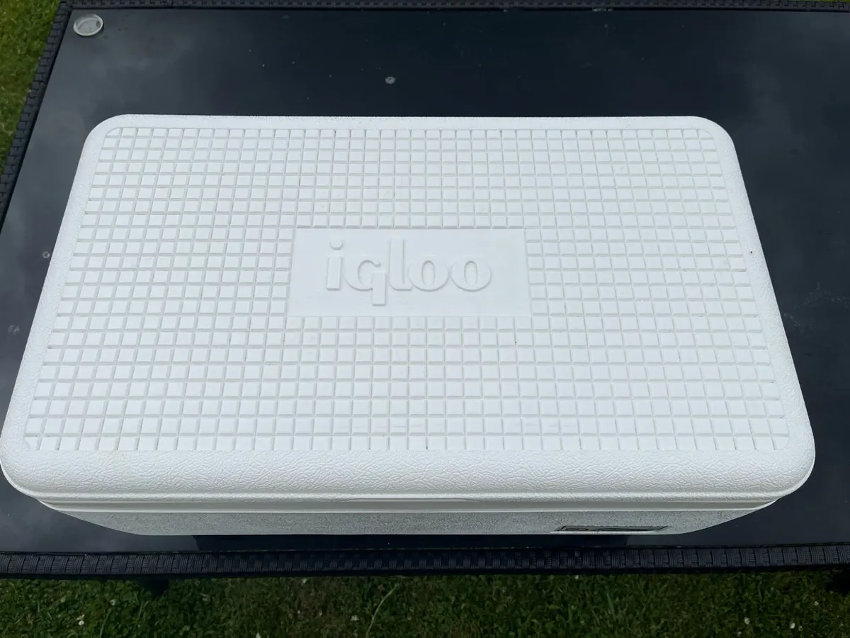 Cooler Box - Image 4