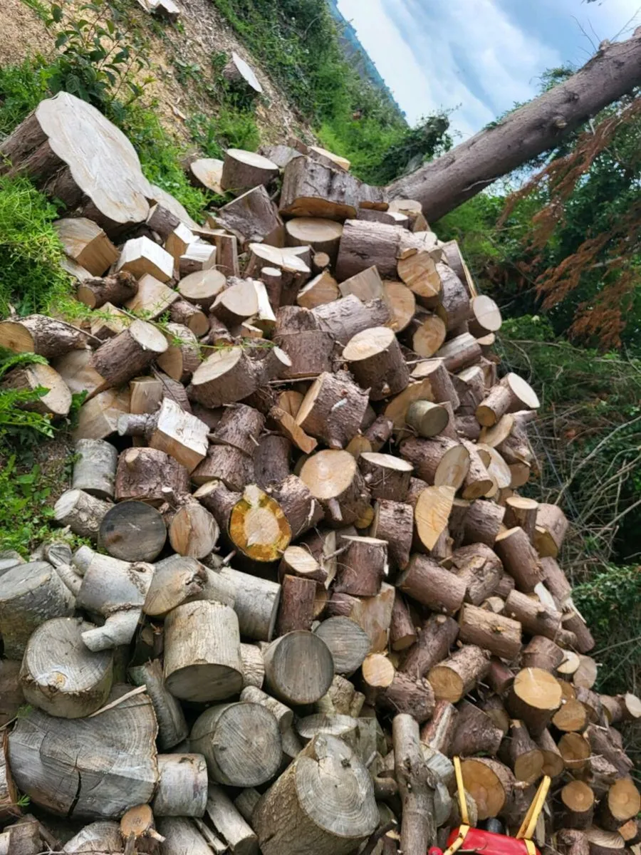 Timber - Image 1