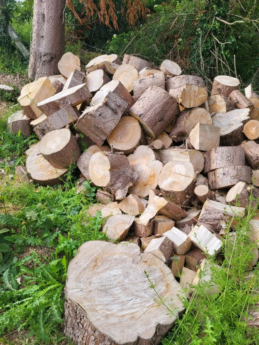 Timber - Image 3