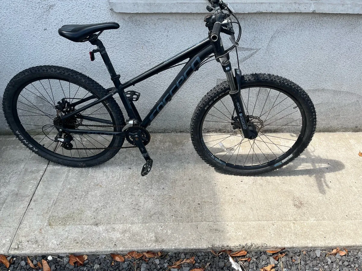 Bike - Image 1