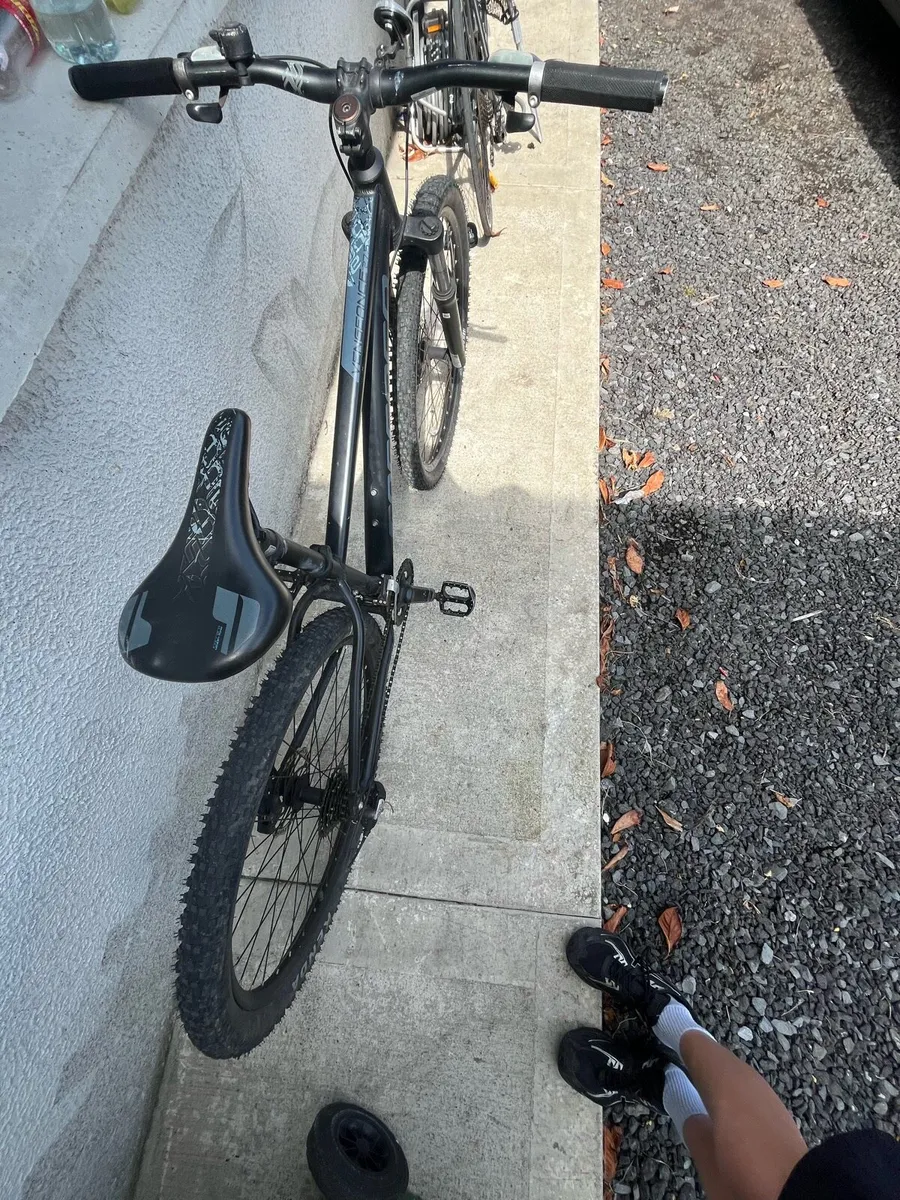 Bike - Image 2