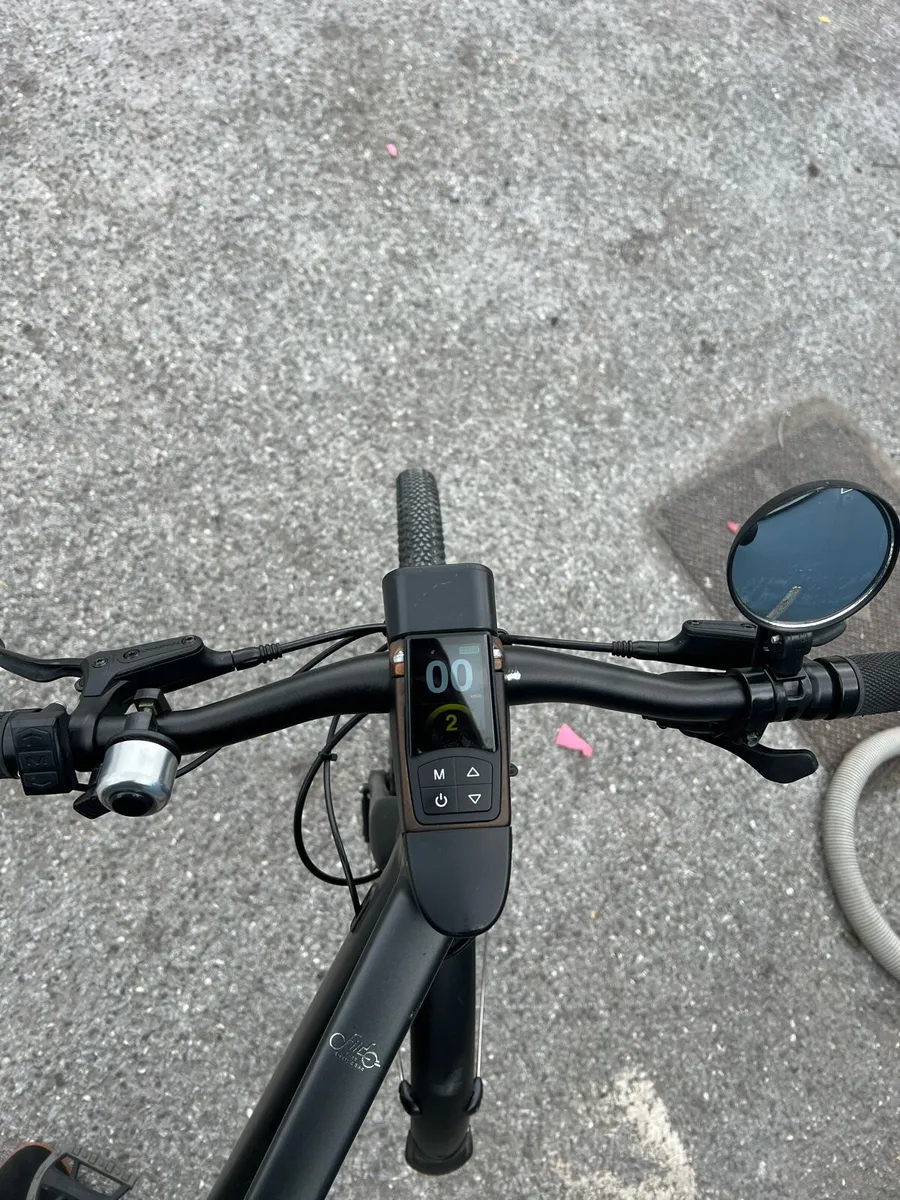 Fiido E-Bike - Image 2