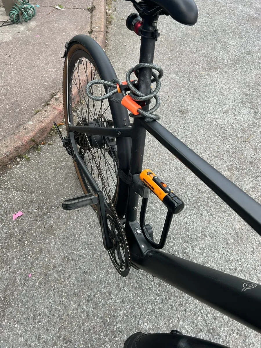 Fiido E-Bike - Image 4