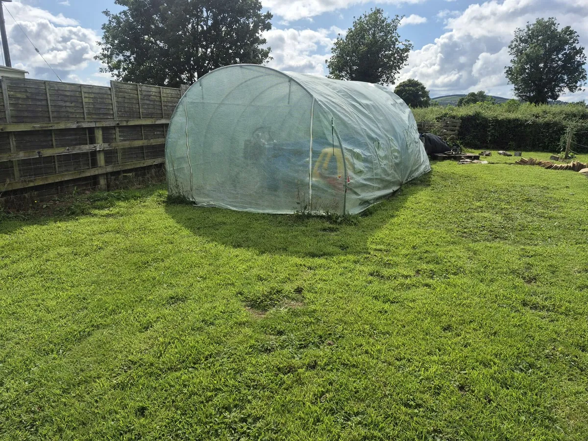 Poly tunnel
