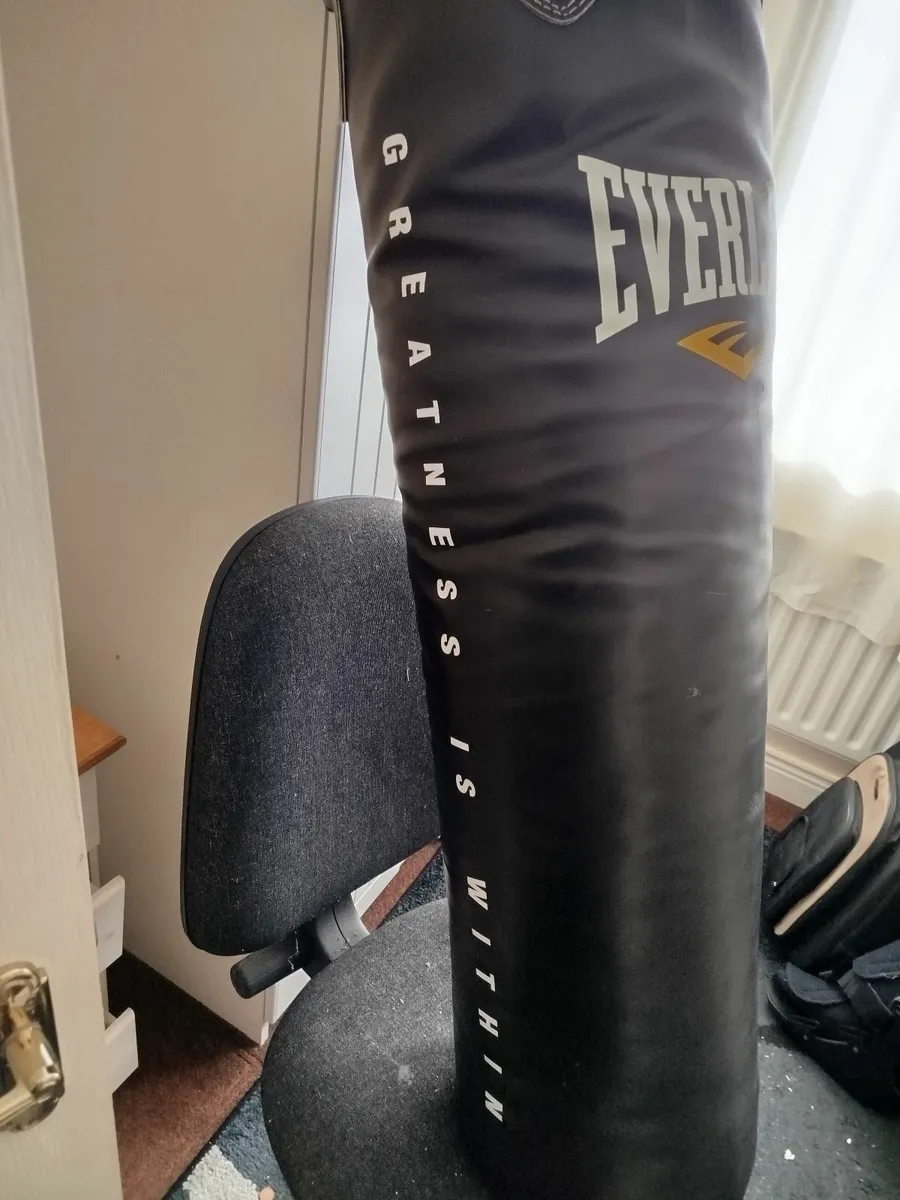 Boxing Bag by Everlast - Image 3