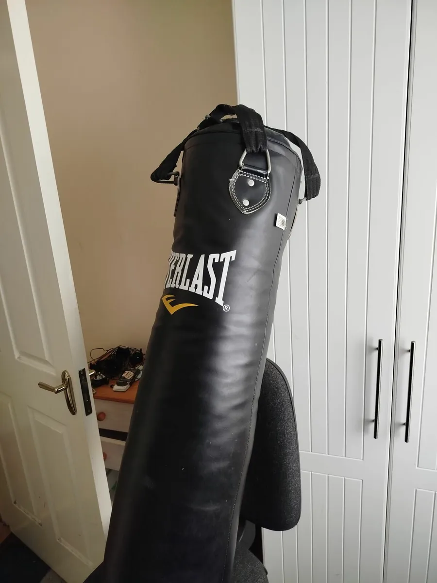 Boxing Bag by Everlast - Image 4