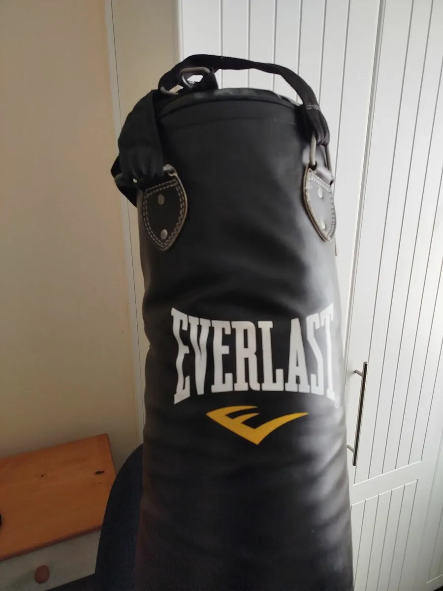 Boxing Bag by Everlast - Image 2