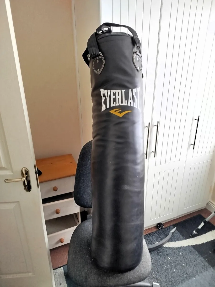 Boxing Bag by Everlast - Image 1