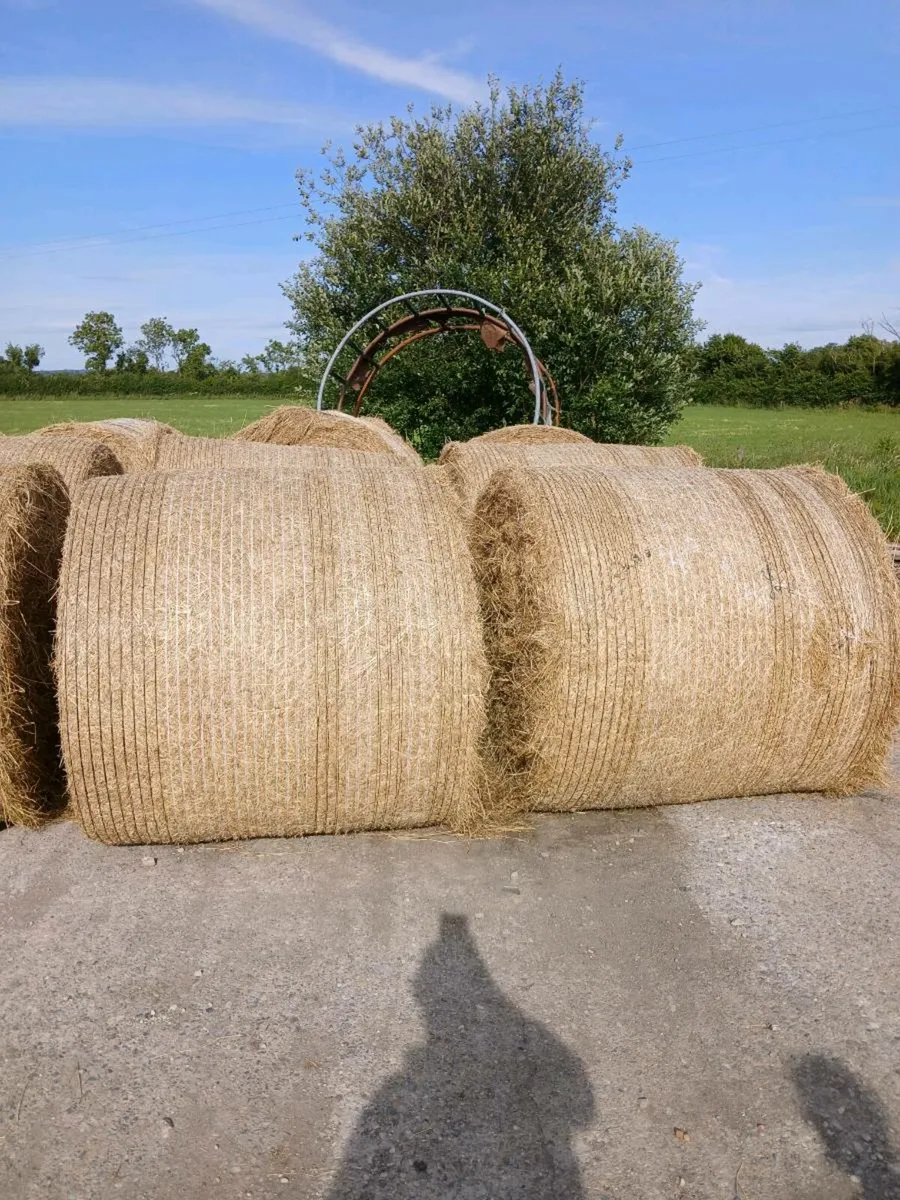 Round bales hay - Image 2