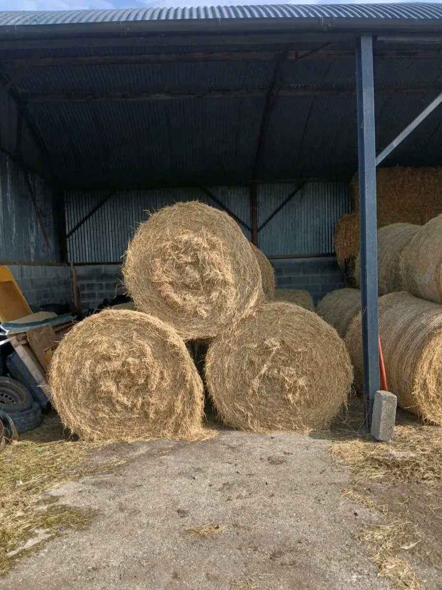 Round bales hay - Image 3