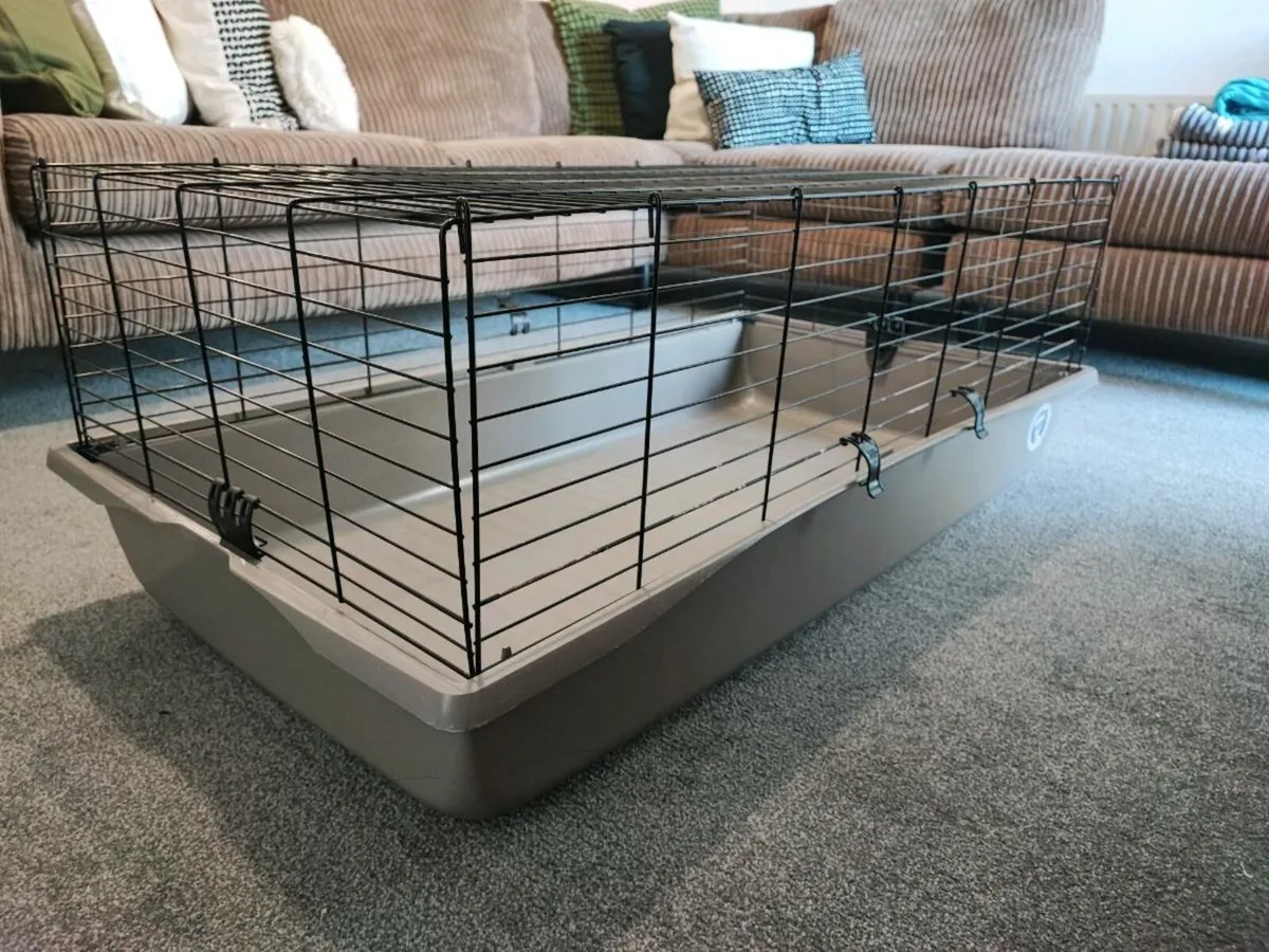 Guinea pig cage - Image 1
