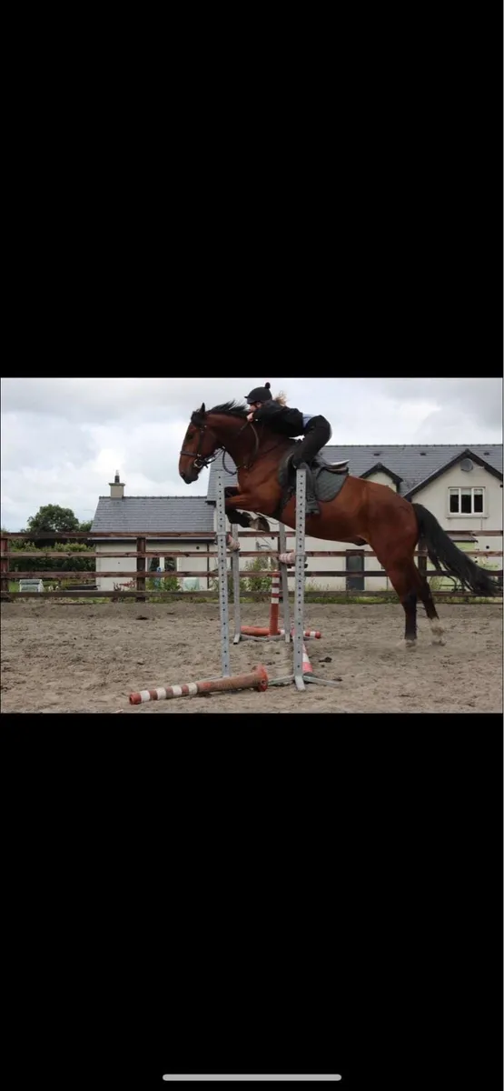 Smashing 15.3 cob - Image 4