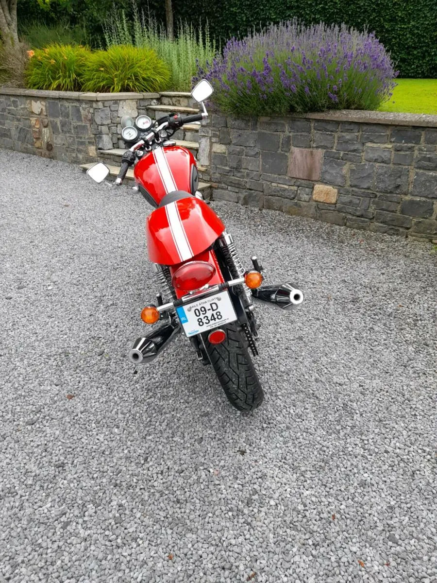 Triumph Thruxton - Image 3