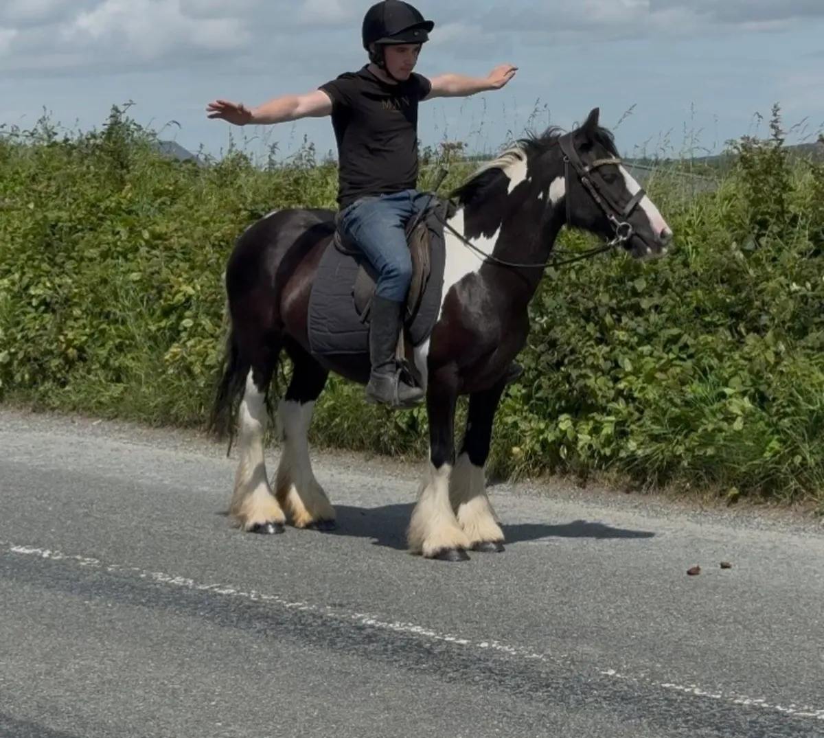 Beginners cob - Image 4