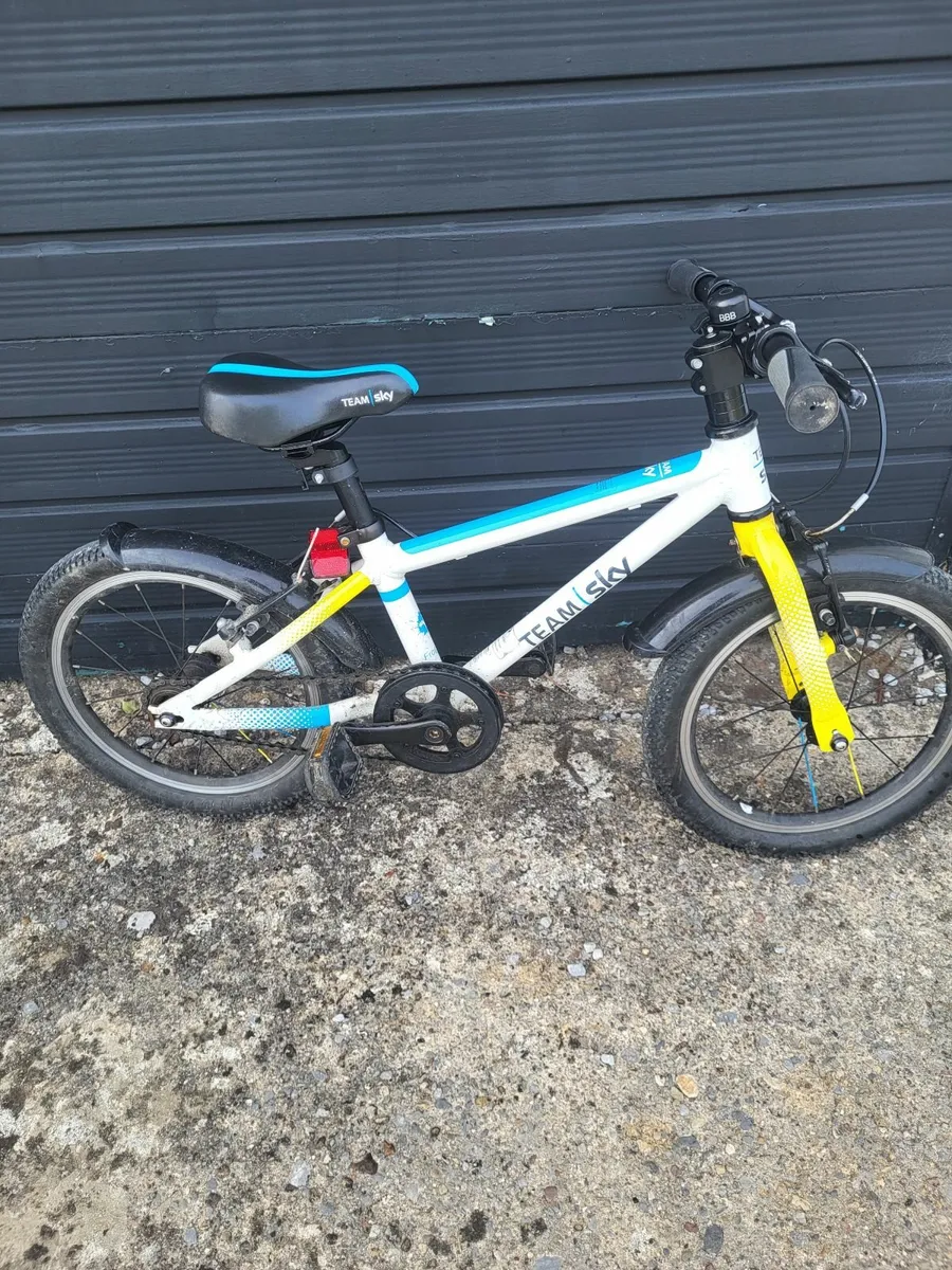 Frog bike - Image 1