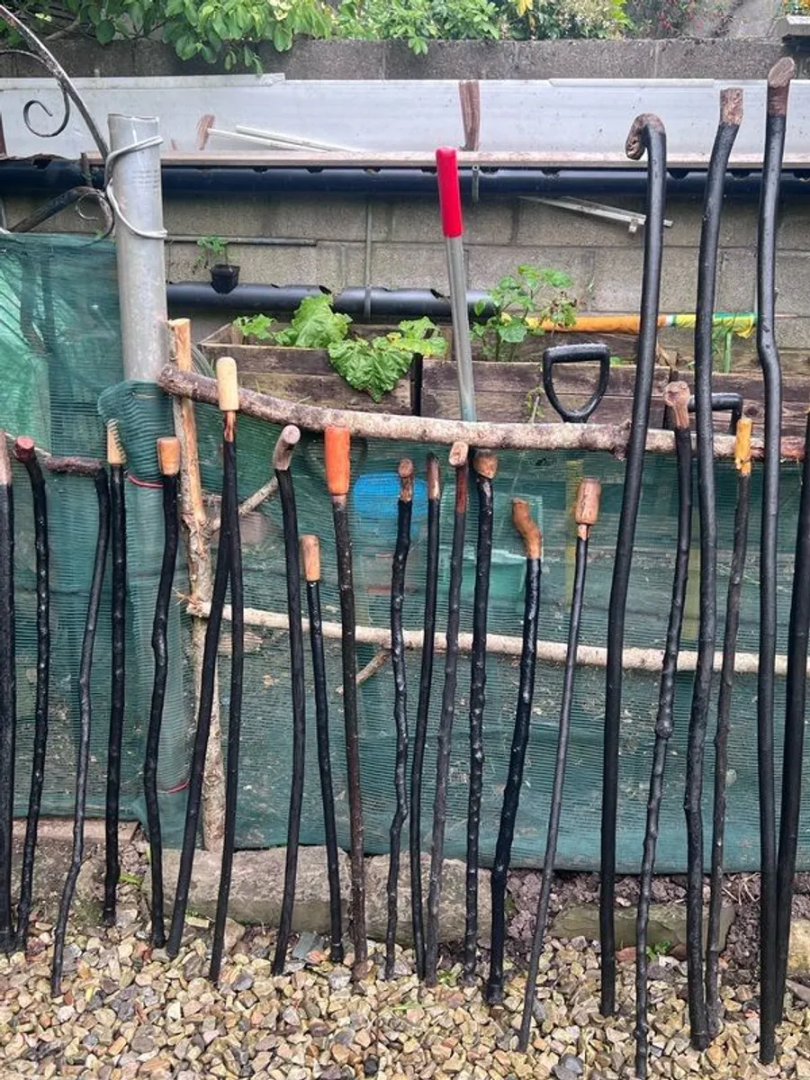 Walking sticks / walking aids - Image 2