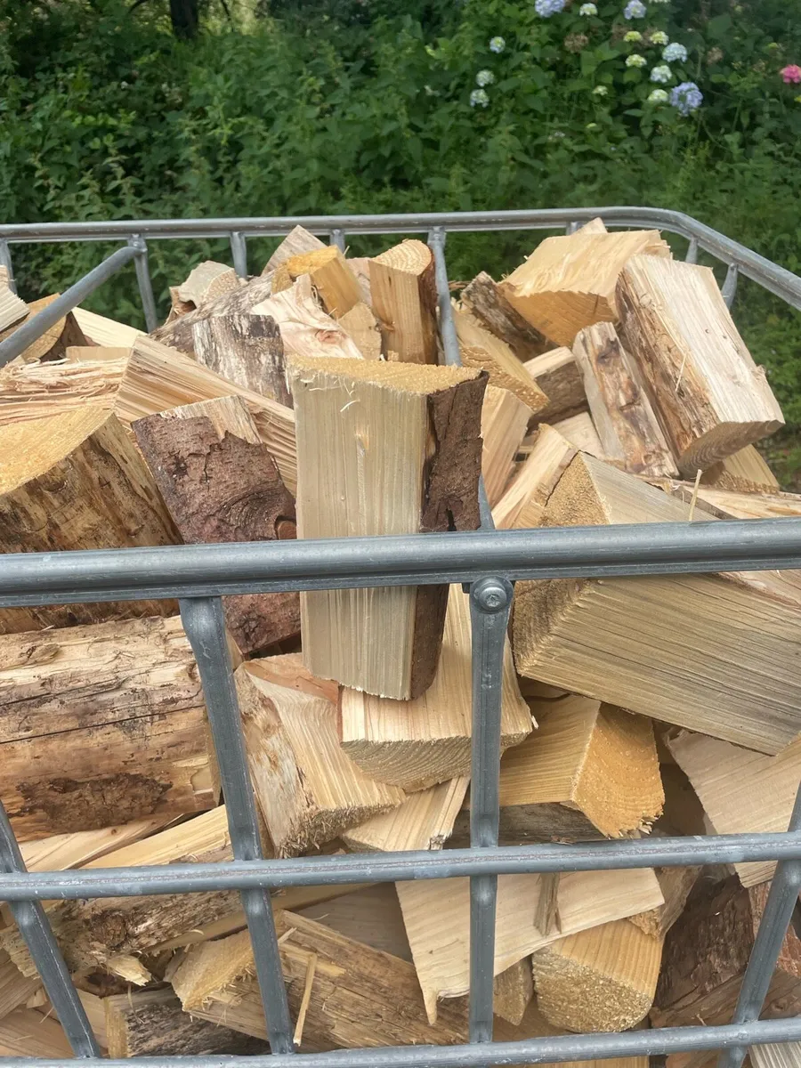 Firewood logs - Image 2