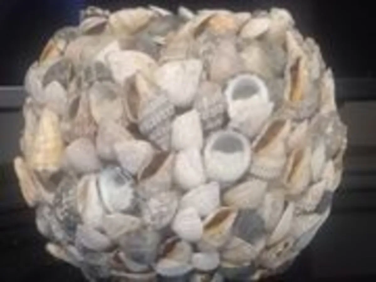 Lovely Handmade Seashell plant pot