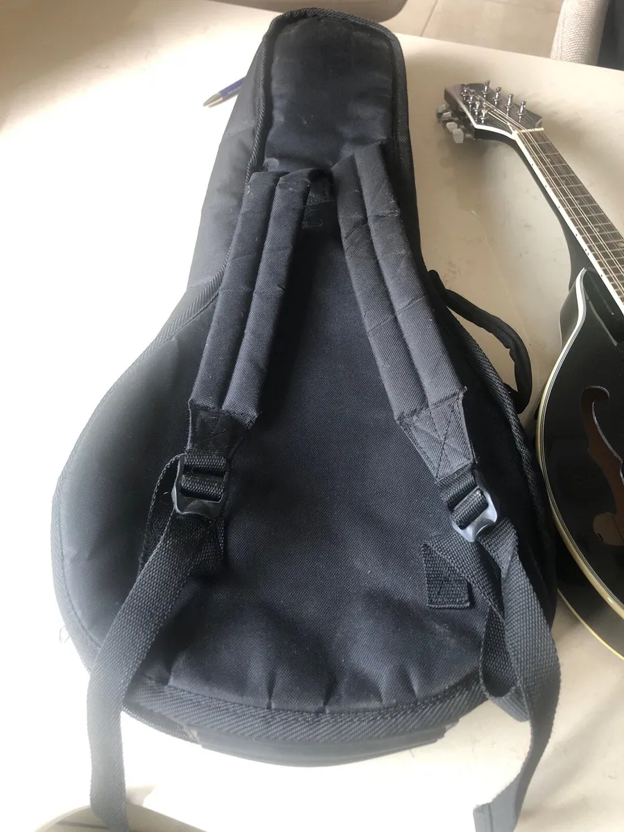 Mandolin - Image 4