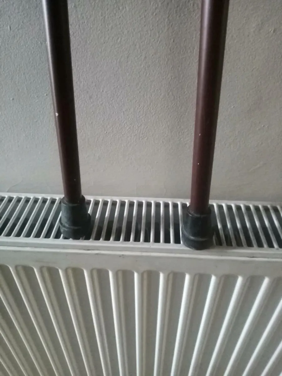 Walking sticks - Image 1