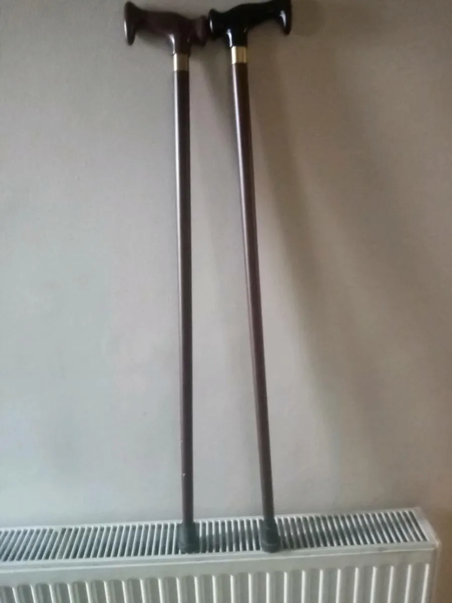 Walking sticks - Image 2