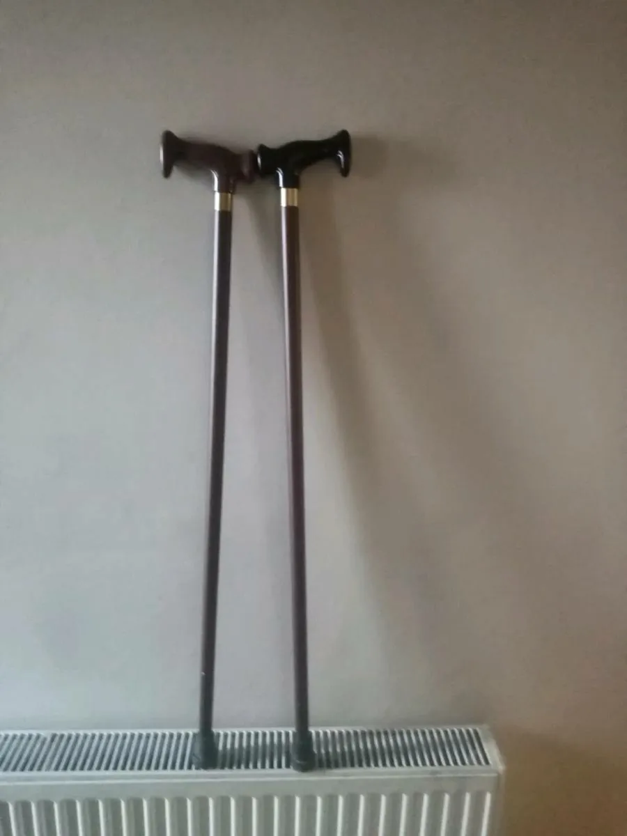 Walking sticks - Image 3