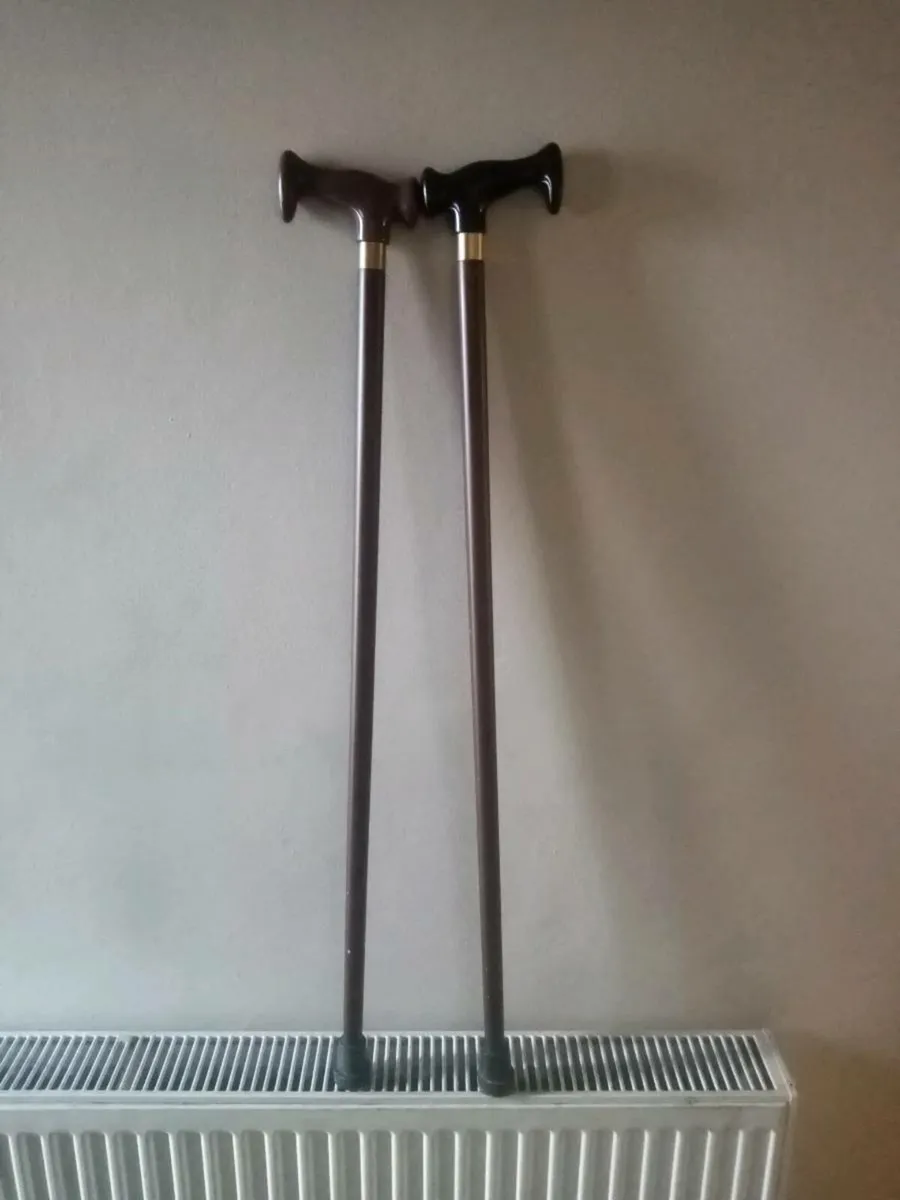 Walking sticks - Image 4